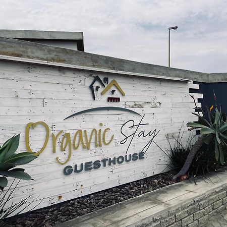 Organic Stay Guesthouse 스바코프문트 외부 사진